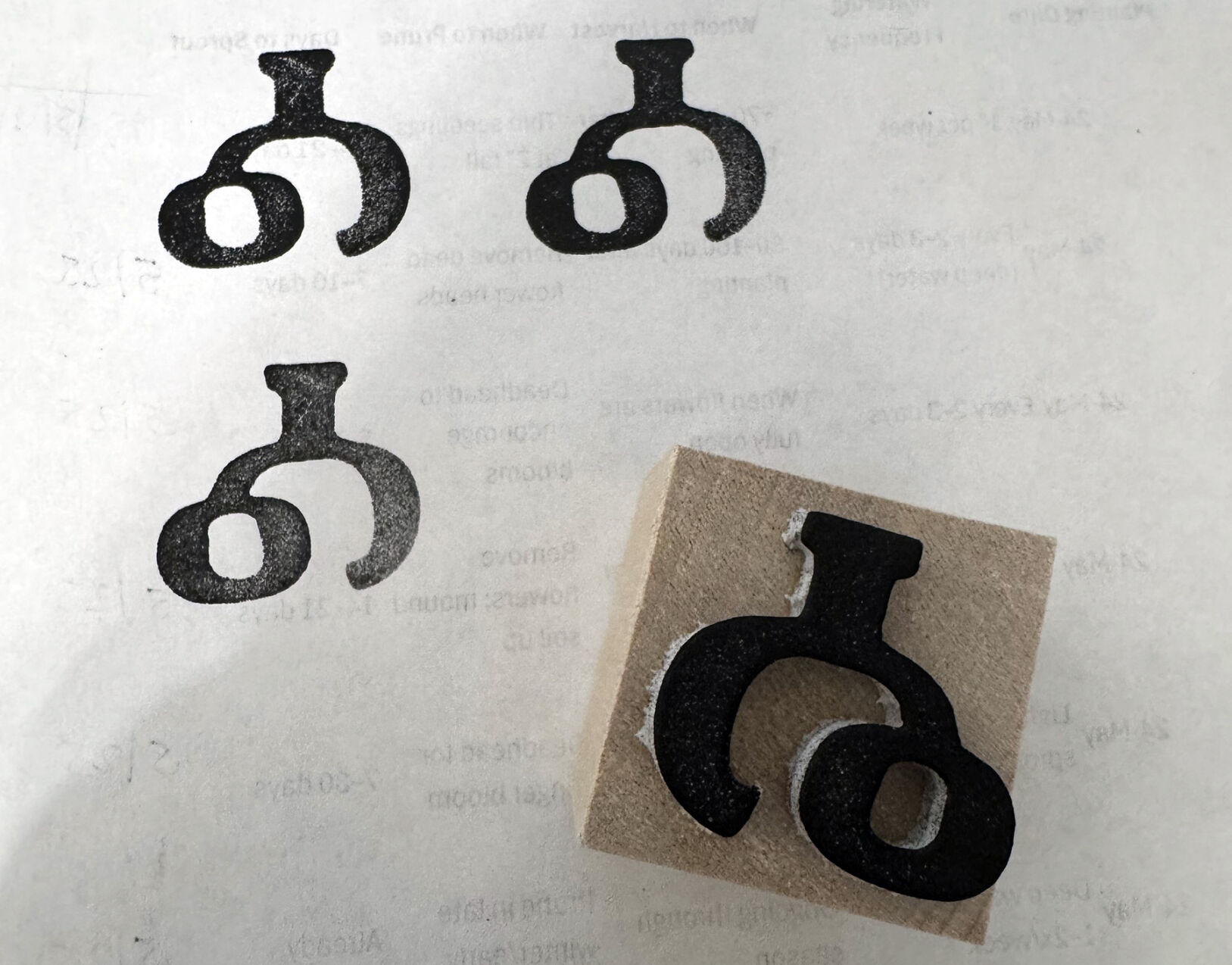 Cherokee Corner promotes language with tangible learning material